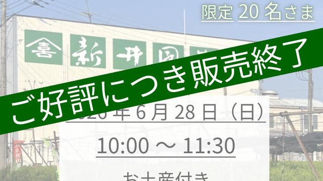 IBUSHIGIN限定お土産付き】茶摘み・工場見学・手もみ体験プラン
