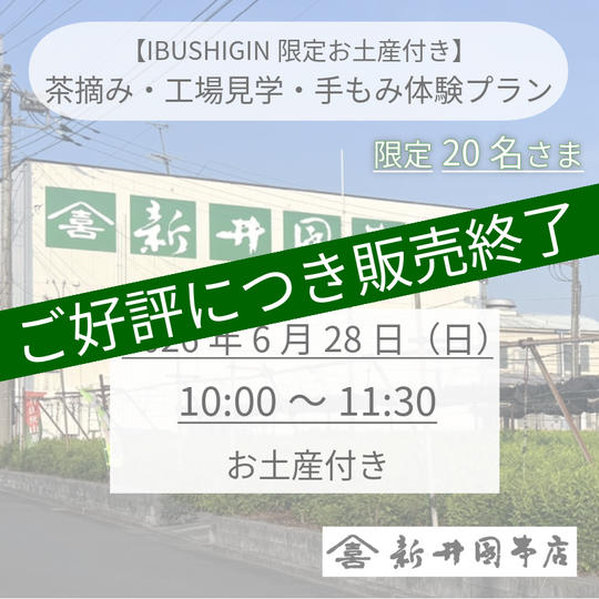 【IBUSHIGIN限定お土産付き】茶摘み・工場見学・手もみ体験プラン