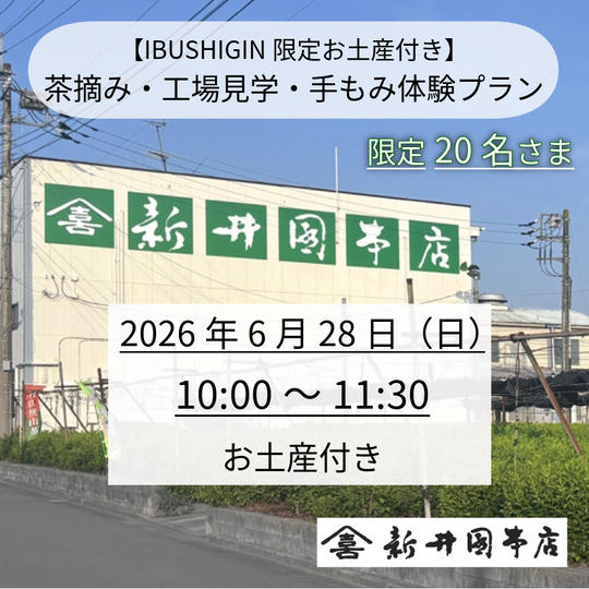 【IBUSHIGIN限定お土産付き】茶摘み・工場見学・手もみ体験プラン