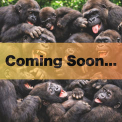 完全燃焼！大人の大運動会ドリンクスポンサー