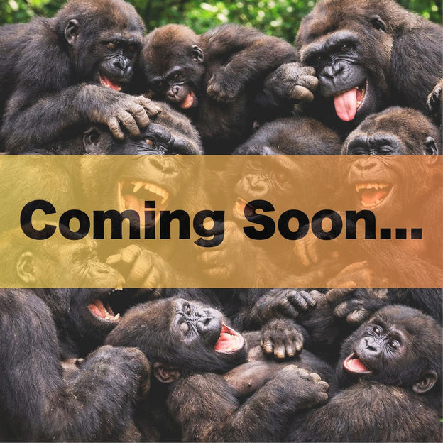 完全燃焼！大人の大運動会ドリンクスポンサー