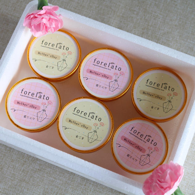 ☆☆☆【母の日ギフト】整うご褒美ジェラートforelato6個セット