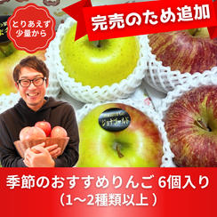 【再販】季節のおすすめりんご　6個入り【少なめサイズ】