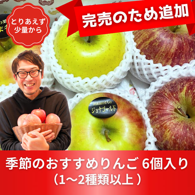 【再販】季節のおすすめりんご　6個入り【少なめサイズ】
