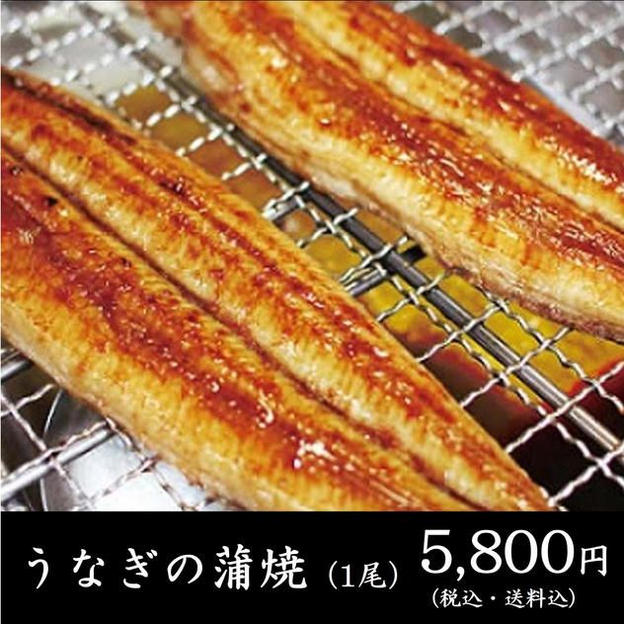 うなぎの蒲焼（1尾）