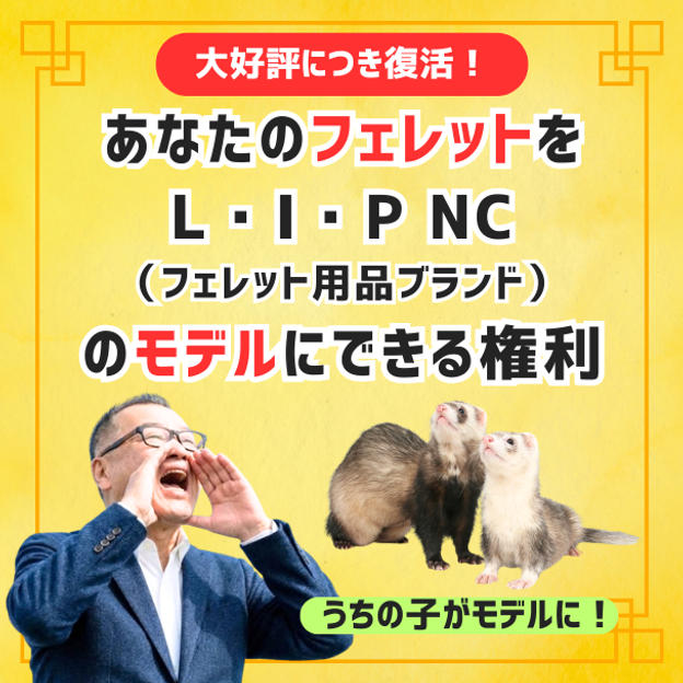 あなたのフェレットをフェレット用品ブランドL･I･Pのモデルにします！