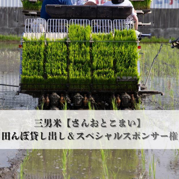 三男米【さんおとこまい】の田んぼ貸し出し＆スペシャルスポンサー権　【限定1名様】企業様 大歓迎