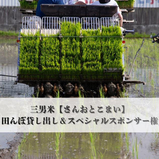 三男米【さんおとこまい】の田んぼ貸し出し＆スペシャルスポンサー権　【限定1名様】企業様 大歓迎