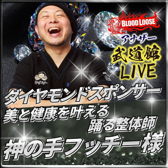 【かたふち ゆういち 様専用】アナザー武道館 ダイヤモンドスポンサー