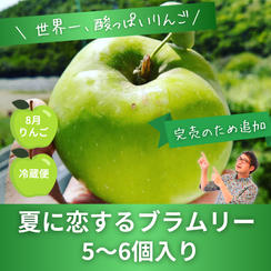 再販【世界一酸っぱいりんご】ブラムリー　5~6個入り
