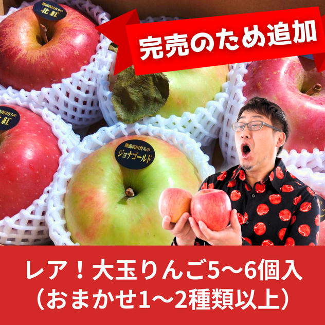【再販】レア！大玉りんご 5～6個入り【特価】