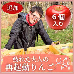 【再販】疲れた大人の再起動りんご　6個入　