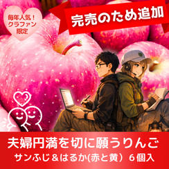 【大好評につき追加】夫婦円満を切に願うりんご　6個入