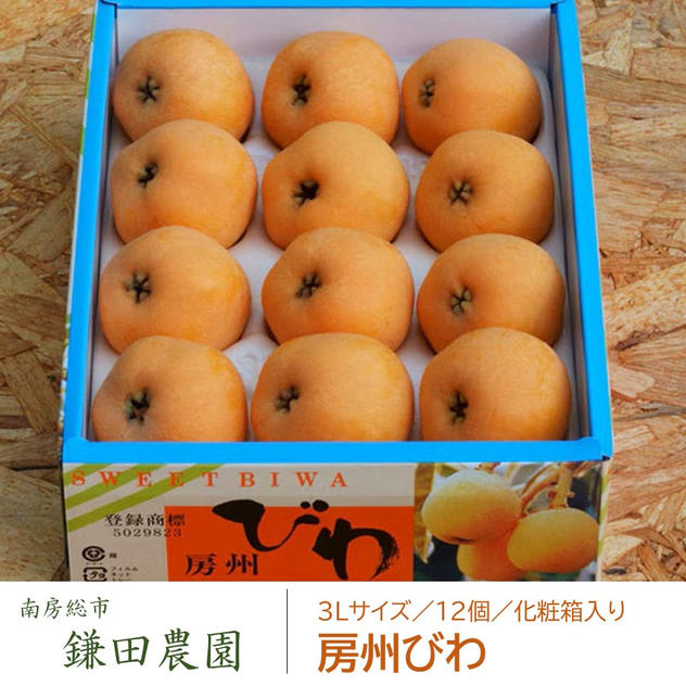 房州びわ（３Lサイズ／12個／化粧箱入り）