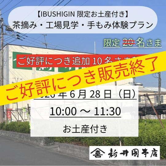 【IBUSHIGIN限定お土産付き】茶摘み・工場見学・手もみ体験プラン（追加募集）
