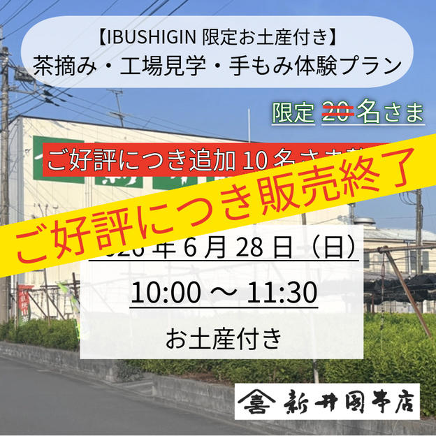 【IBUSHIGIN限定お土産付き】茶摘み・工場見学・手もみ体験プラン（追加募集）