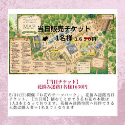 【当日チケット】花摘み迷路チケット1名様1650円