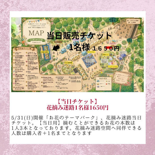 【当日チケット】花摘み迷路チケット1名様1650円