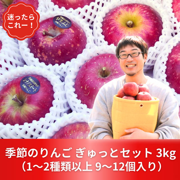 【迷ったらコレ！】季節のりんご ぎゅっとセット 3kg	