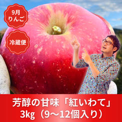 【リピート1位】岩手のりんご「紅いわて」３kg