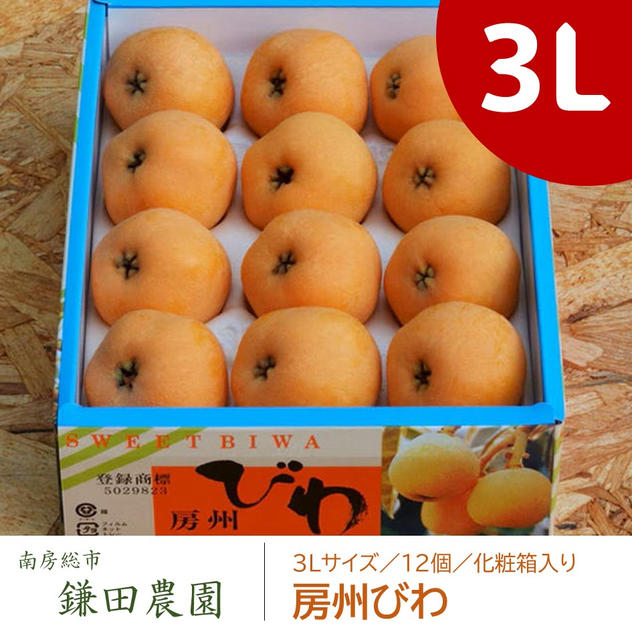 【5/26追加】房州びわ（３Lサイズ／12個／化粧箱入り）