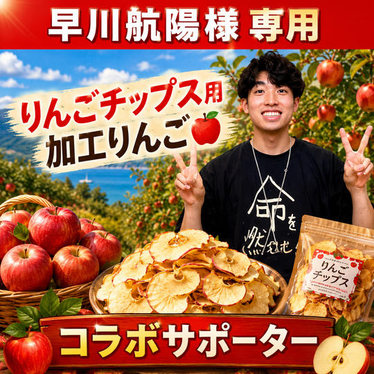 【早川航陽様 専用】りんごチップス用加工りんご🍎コラボサポーター