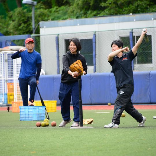 「日体大」応援①コース