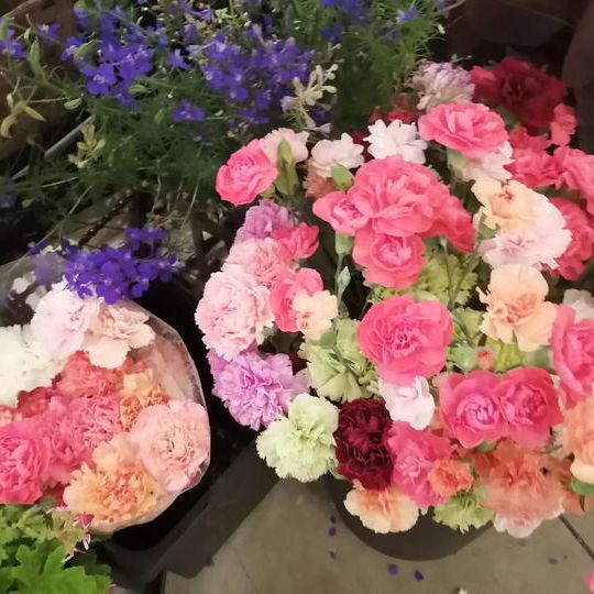 【イベント当日限定】フラワーカーお花購入　1000円