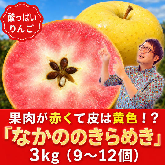 【レア】果肉が赤くて皮は黄色!?「なかののきらめき」3kg（9～12個）