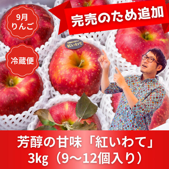 【完売につき再販】岩手のりんご「紅いわて」３kg【昨年リピ1位】