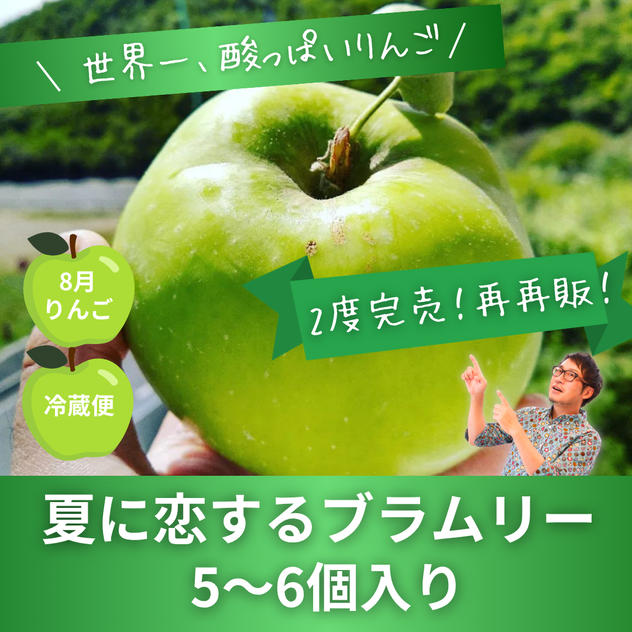 再再販！【世界一酸っぱいりんご】ブラムリー　5~6個入り