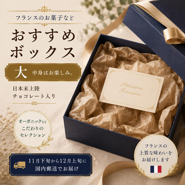 フランスお菓子おすすめボックス（大）