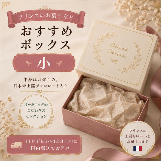 フランスお菓子おすすめボックス（小）