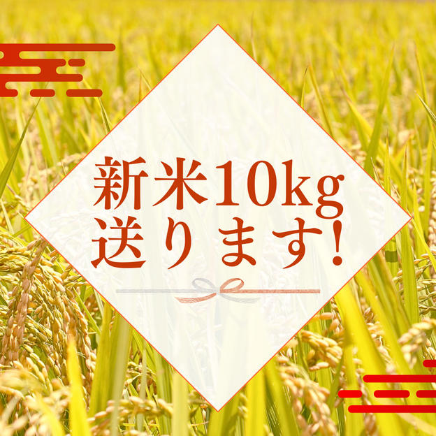 玄米10kgを送ります