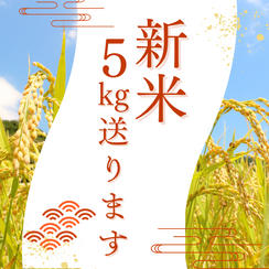 玄米5kgを送ります