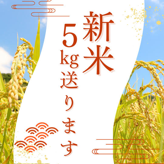 白米5kgを送ります