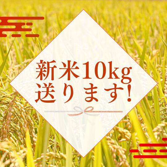 白米10kgを送ります