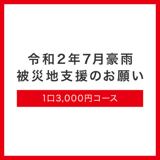 1口3,000円コース	