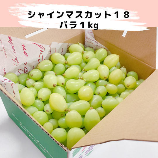 【リピート特典あり】「シャインマスカット18」バラ1kg【冷蔵送料含む】