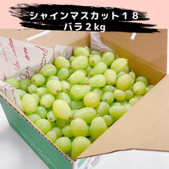【リピート特典あり】「シャインマスカット18」バラ2kg【冷蔵送料含む】