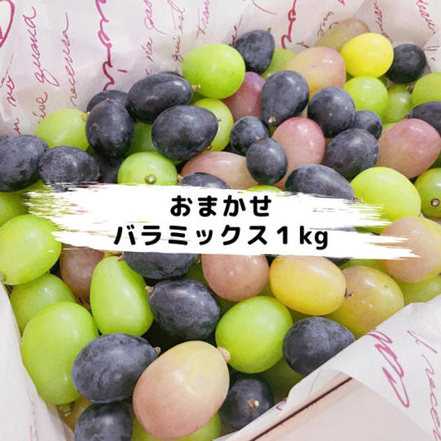 【リピート特典あり】鳥海農園おまかせバラミックス合計1kg【冷蔵送料含む】