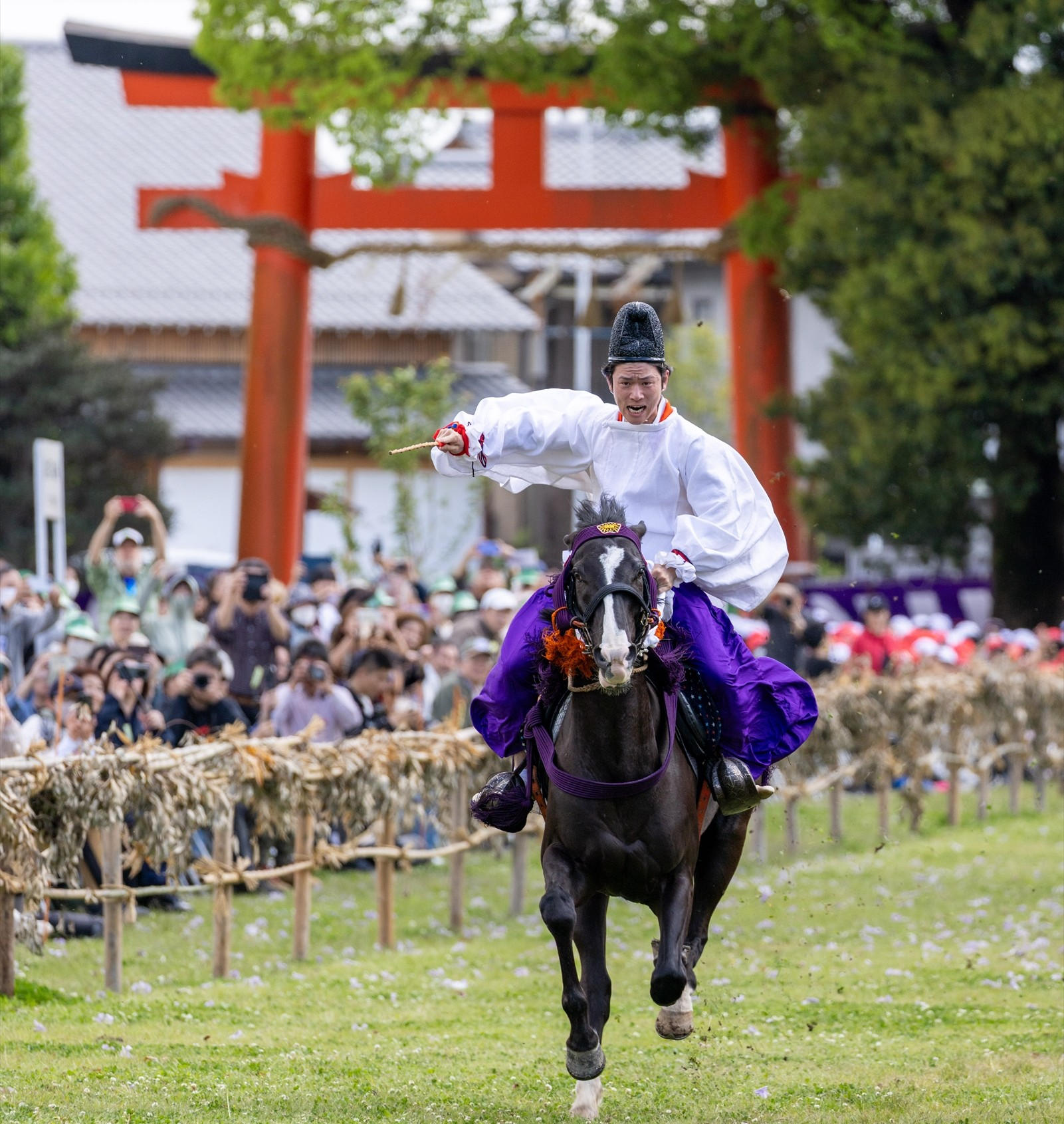 2027年5月1日】上賀茂神社「賀茂競馬」足汰式見学 - (【寄付型】2026年