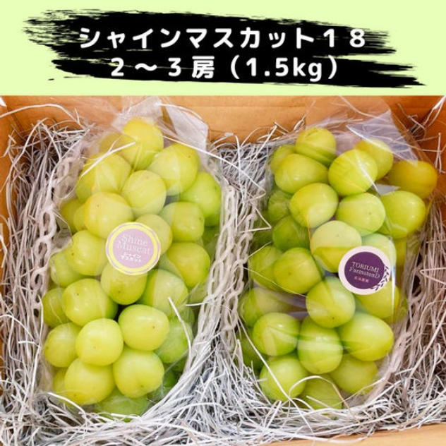シャインマスカット18」2~3房（1.5㎏）【冷蔵送料含む】 - (甘さと