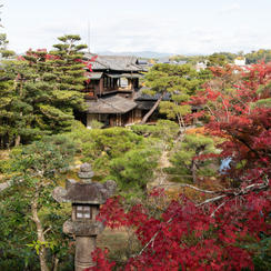 10/24【對龍山荘】“秘蔵の別邸”開園前に貸切案内、植彌加藤造園8代目とめぐる数寄者が極めた名庭