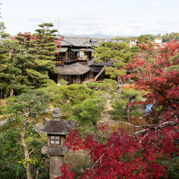 10/24【對龍山荘】“秘蔵の別邸”開園前に貸切案内、植彌加藤造園8代目とめぐる数寄者が極めた名庭