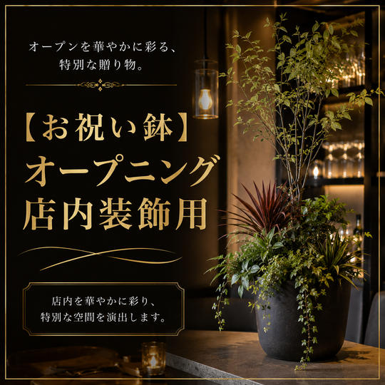 【お祝い鉢】オープニング店内装飾用