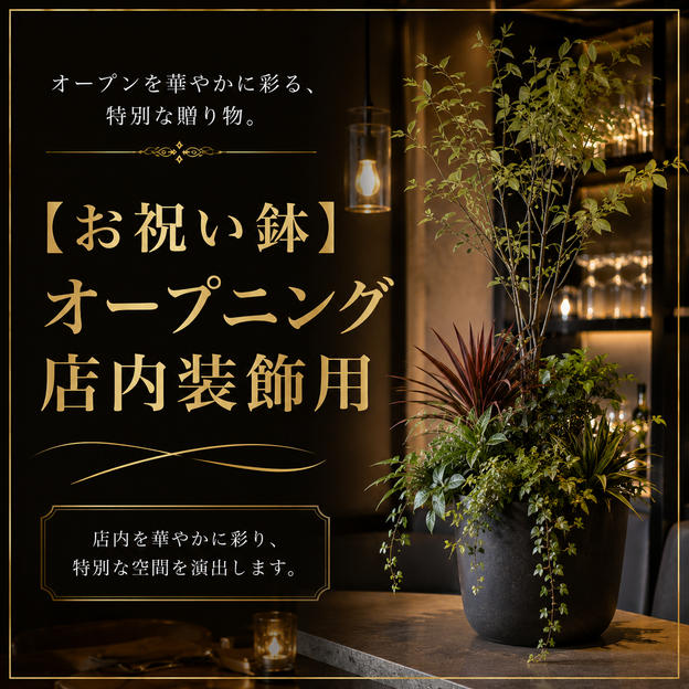 【お祝い鉢】オープニング店内装飾用