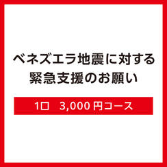 【Ｂ】1口3,000円コース（領収証なし）