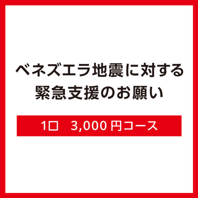【Ｂ】1口3,000円コース（領収証なし）