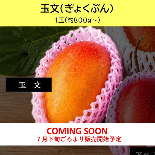 玉文（ぎょくぶん）